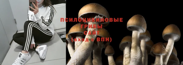 тгк Балабаново