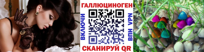где найти наркотики  Невельск  Галлюциногенные грибы Cubensis 